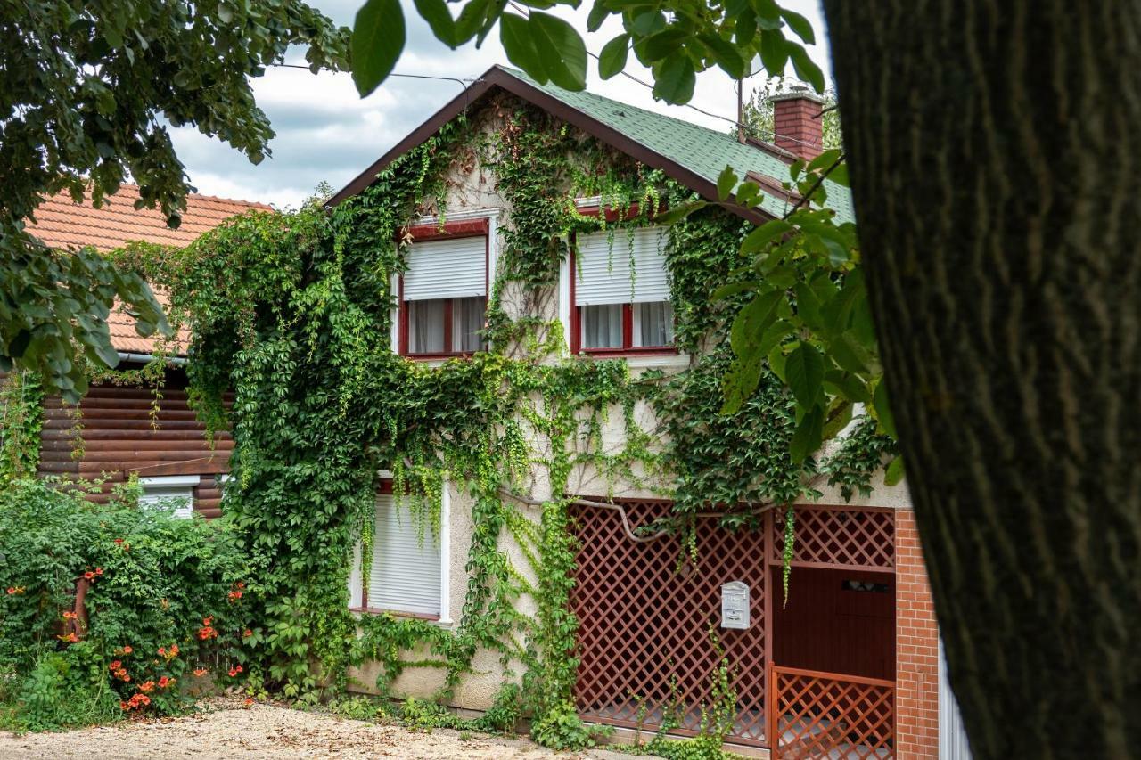 Vadszolo Apartmanhaz Gyomaendrőd Dış mekan fotoğraf